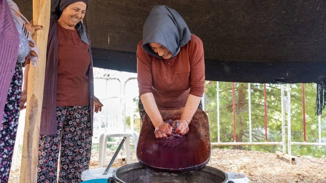 Manavgat’ta Zeytin ve Zeytinyağı Festivali 3 Bin Yıllık Geleneğe Sahne Oldu! 8